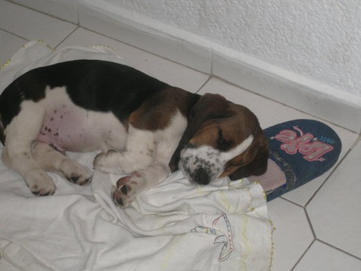 Cuando era bb Cuando era bb